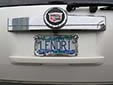 Personalized plate (a different plate design<br>is used for personalized plates)