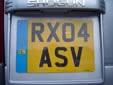 Normal plate (rear) with an optional euroband<br>RX = Reading. 04 = registered between March and August 2004