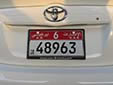 Normal plate