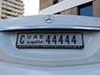 Normal plate