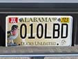 Special interest plate 'Ducks Unlimited'<br>(detailed view of the previous picture)