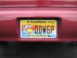 Special interest plate 'Protect Wild Dolphins'