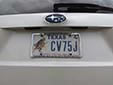 Special interest plate 'Keep Texas Wild'