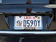 Special interest plate 'No More Homeless Pets'