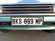 Normal plate. MP = Mpumalanga province